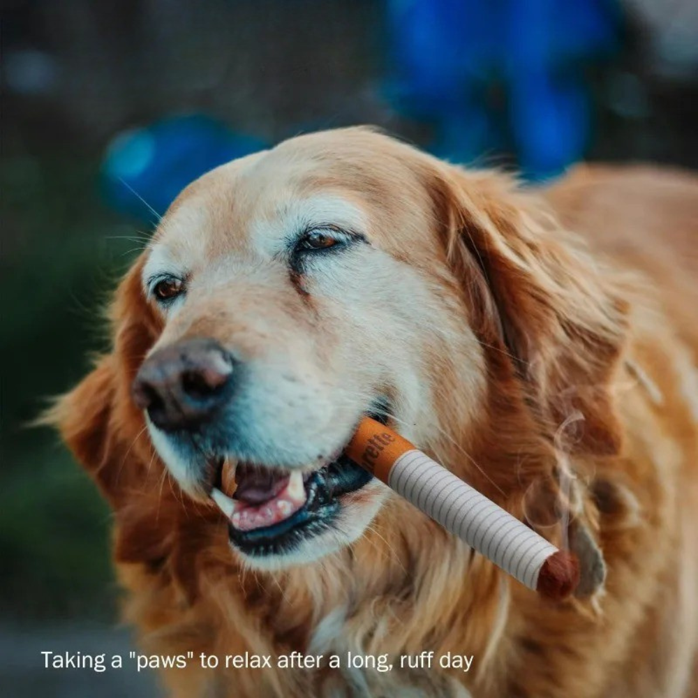 PuffPaws™ – Interactive Plush Cigarette Toy