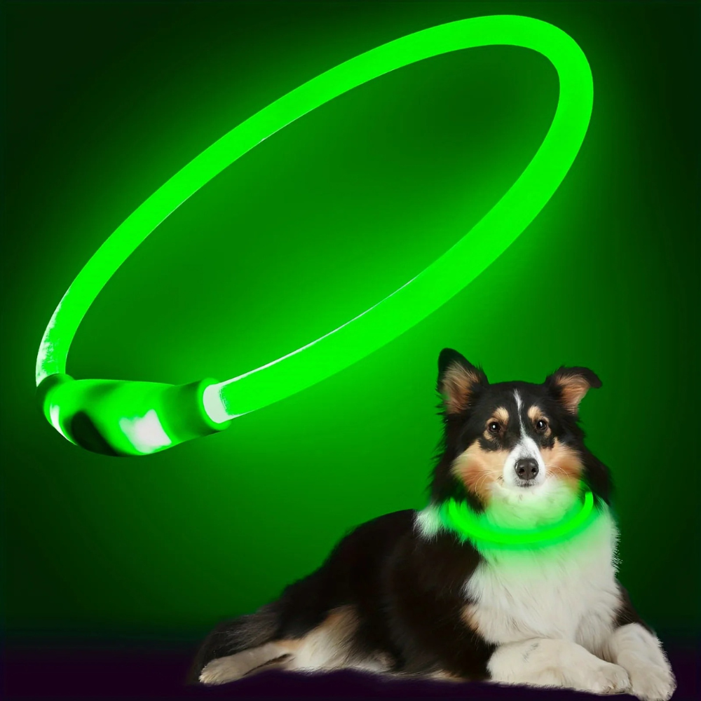 GlowTail™ – LED Rechargeable Collar