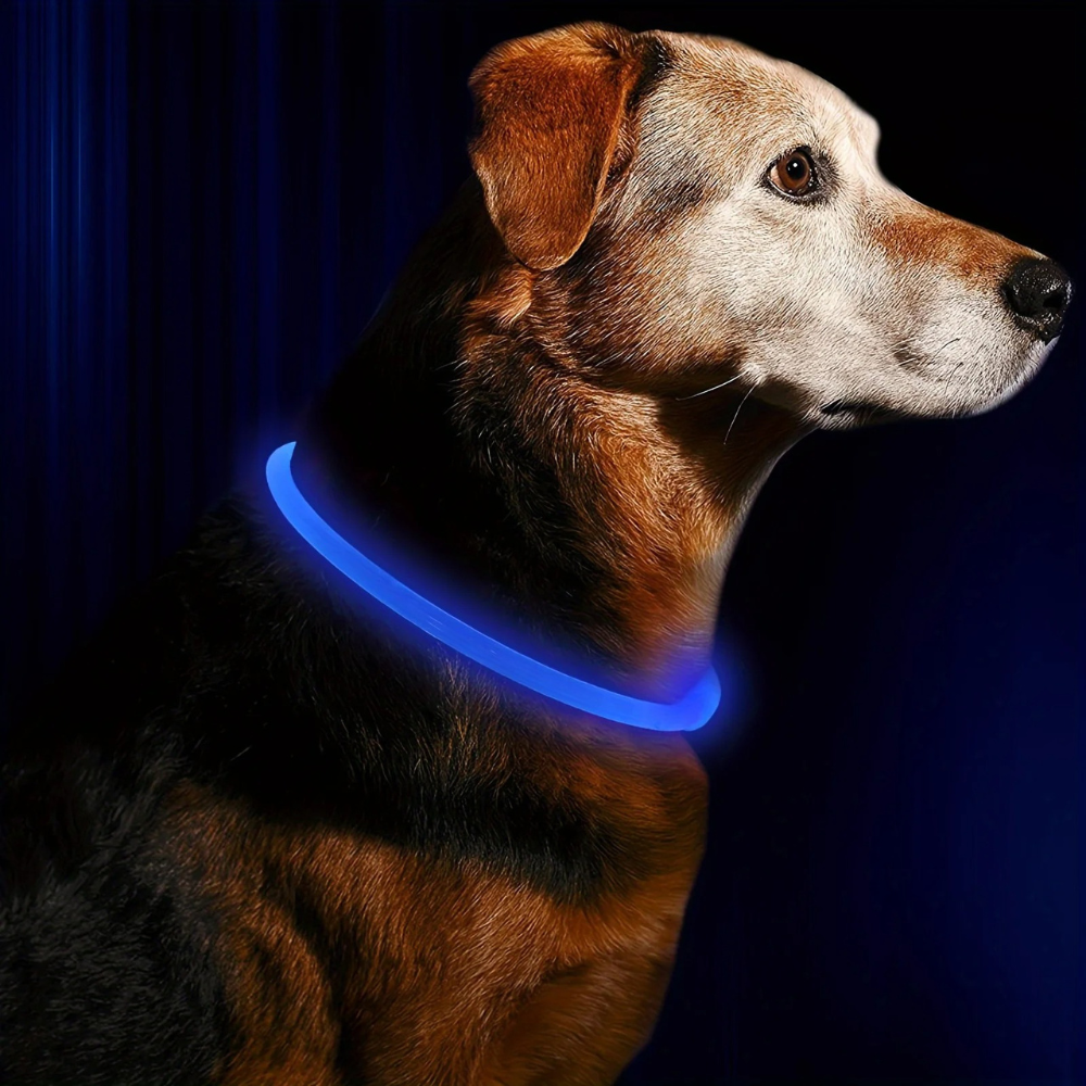 GlowTail™ – LED Rechargeable Collar