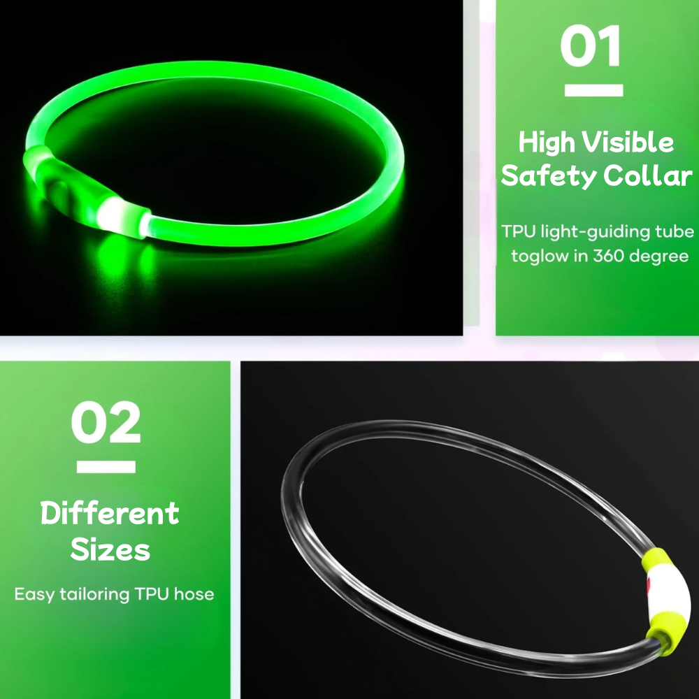 GlowTail™ – LED Rechargeable Collar