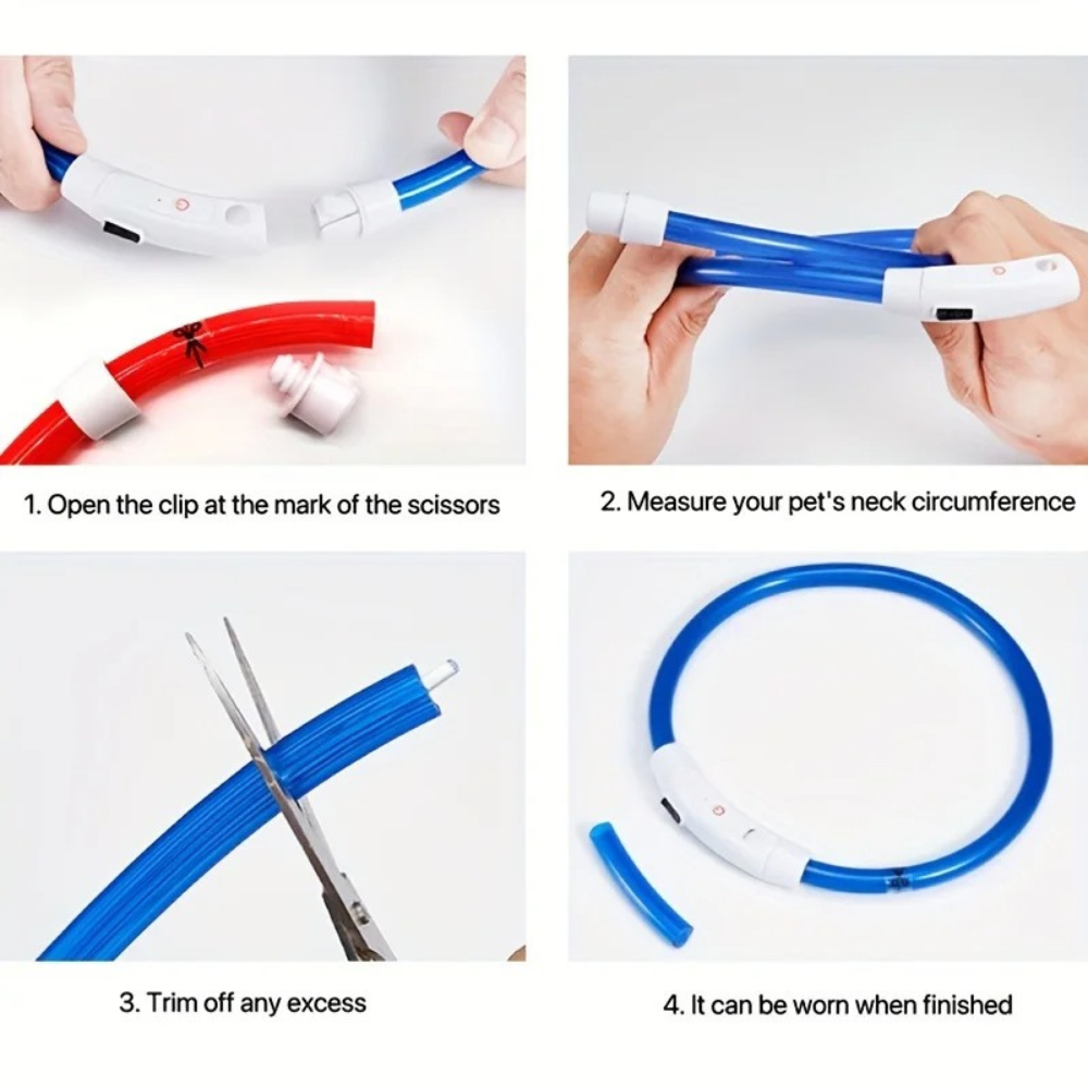 GlowTail™ – LED Rechargeable Collar