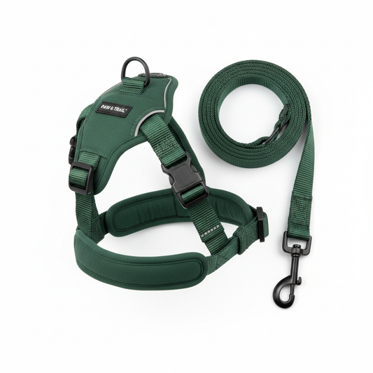 Modern Dog Harness & Leash Set