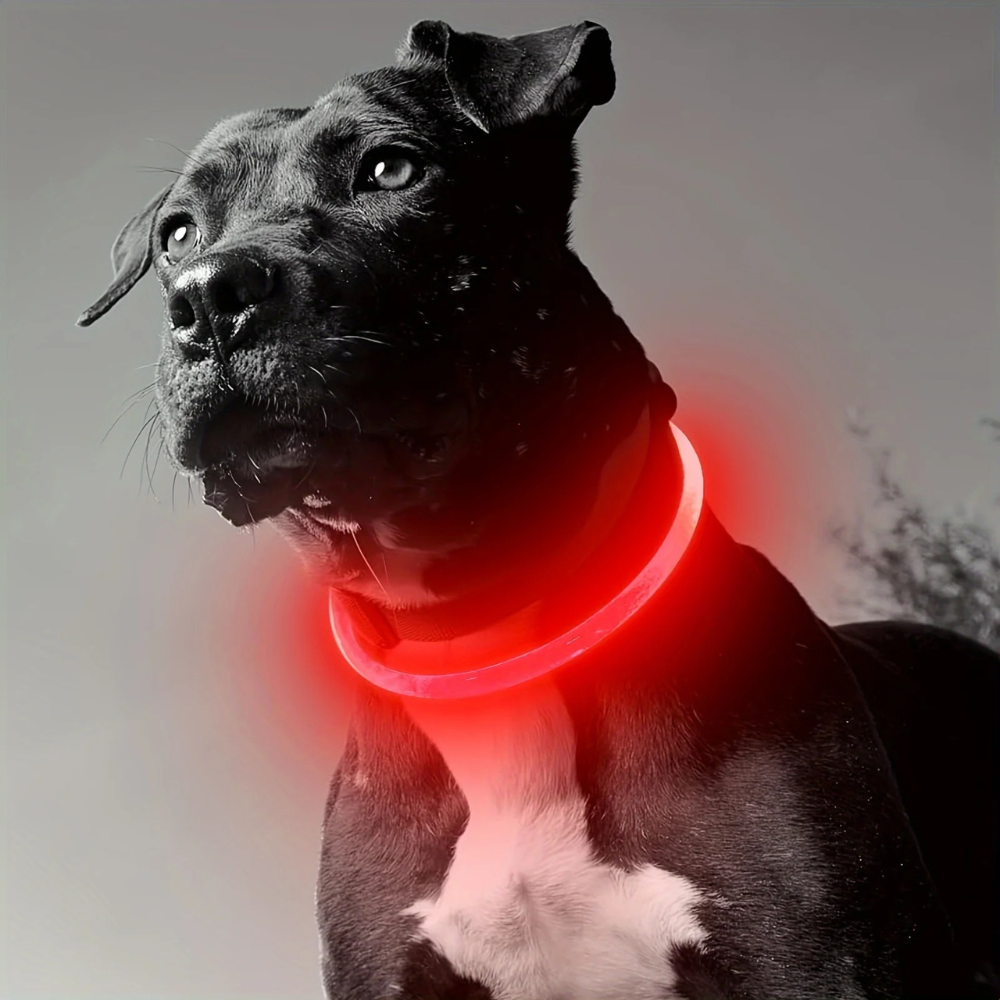 GlowTail™ – LED Rechargeable Collar